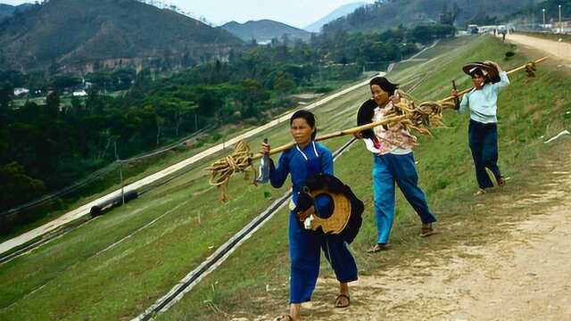 1980年的深圳,为了自己发财梦,无数打工者涌入这里