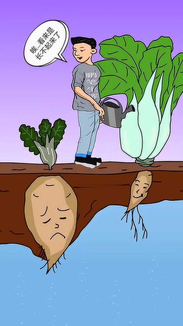 看外表评判,永远分不清好坏,就如人心一样表里不一!