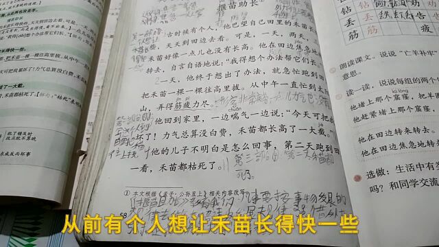 陪同孩子学习二年级语文下册《揠苗助长》我给孩子耐心地讲了道理