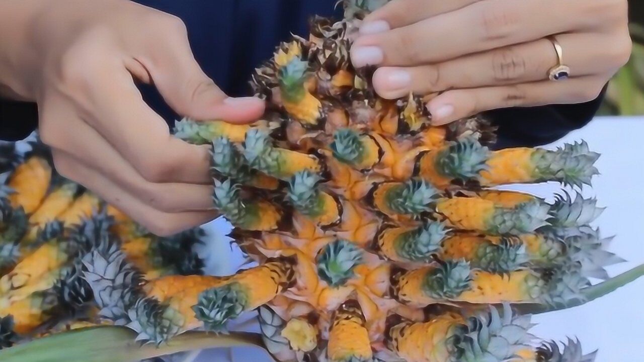 国外"变异"菠萝,外层一圈小菠萝,里面一个大菠萝,不脱壳也能吃_腾讯视