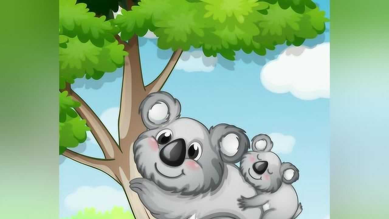 十万个为什么:树袋熊的口袋在背上吗?