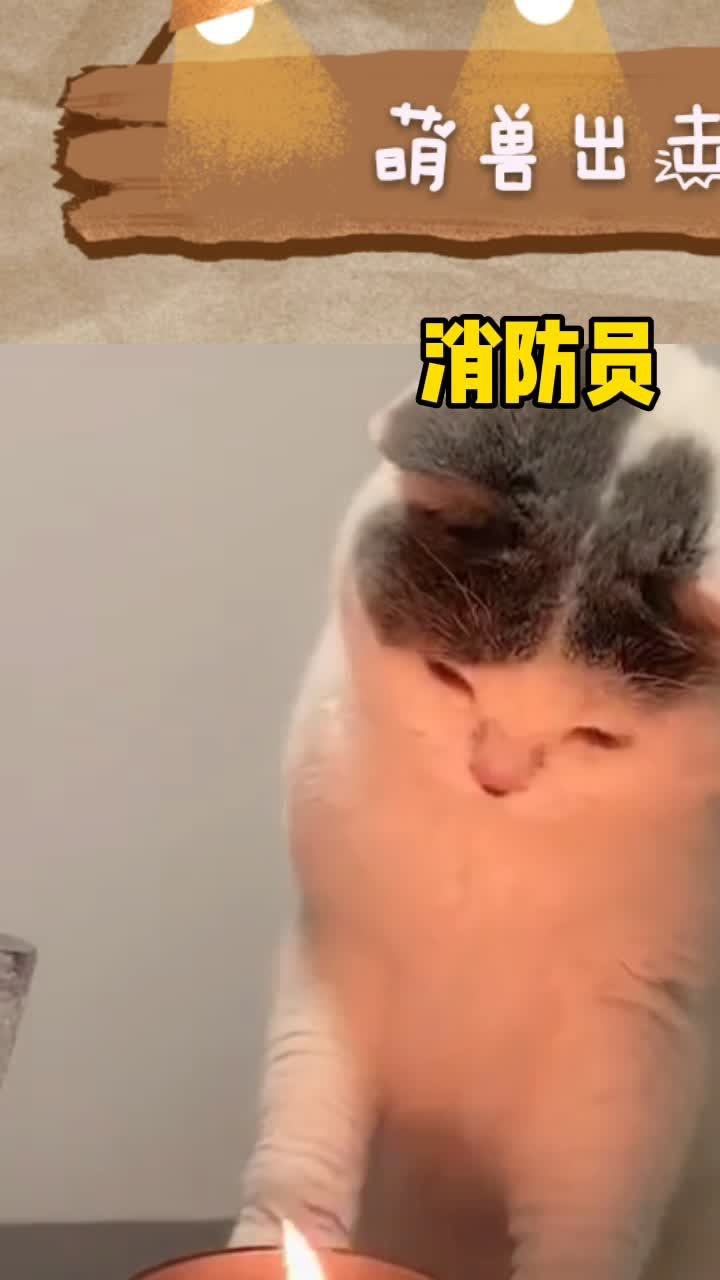 小猫咪,你这是在玩火