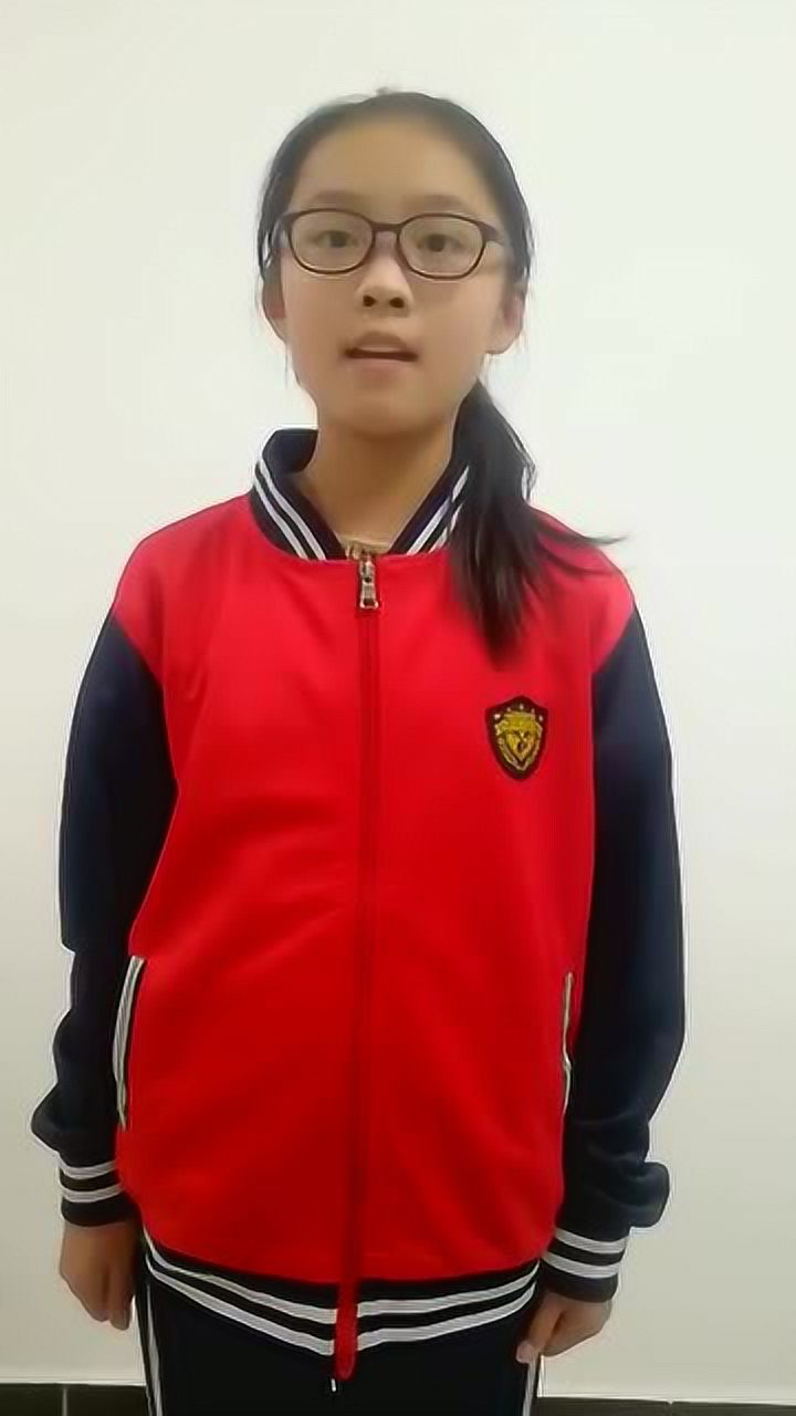 冠县东古城镇中学吴晨阳演讲视频