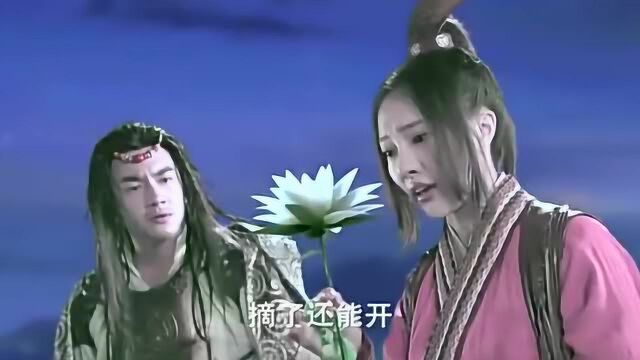 女子摘下花苞,没想到花苞瞬间绽放,女孩竟无辜消失