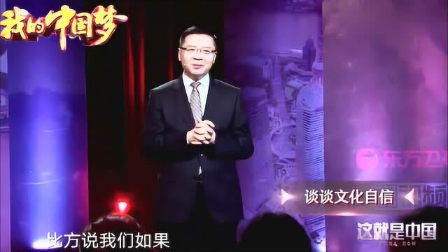 新加坡学者夸赞印度英语水平好,最终能赶超中国,张维为:我就笑笑