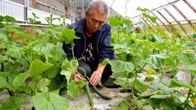 它是藏在身边的“溶栓剂”,血栓患者别贪吃,大家别再无知!