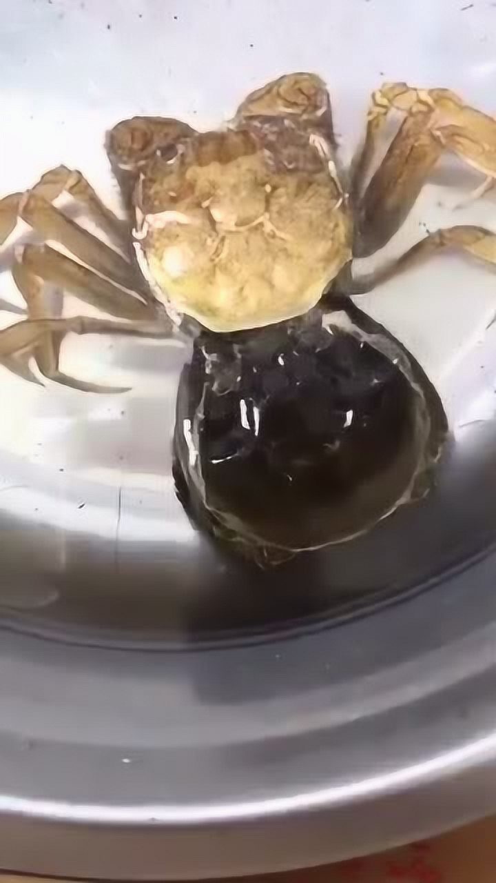 螃蟹是这样脱皮的,不用剥皮就可以吃了,太方便了!