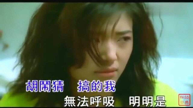 苏慧伦怀旧歌曲《鸭子》,很多70后80后的最爱,MTV原版