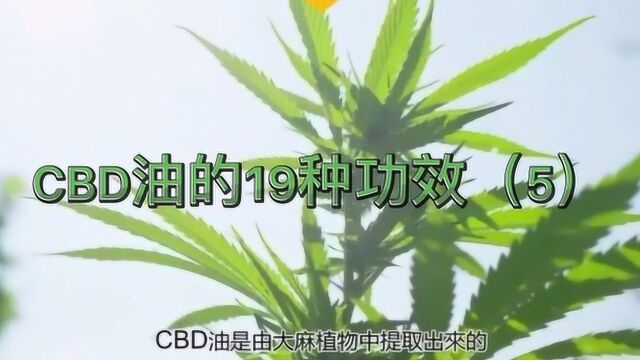 CBD油能够促进身心健康