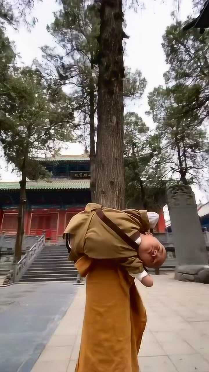 从前有座山,山上有颗树,树上长了个小和尚