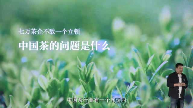 小罐茶创始人杜国楹告诉你小罐茶是怎么做出来的