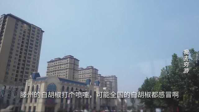 滕州市不愧是山东TOP10:位列青岛市南区后,有全国最大干货市场