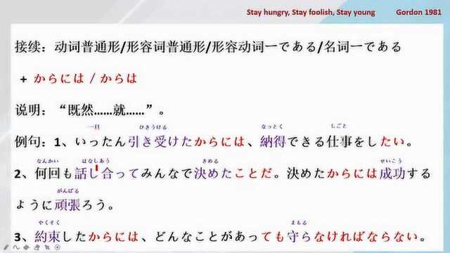 N2 [学习笔记] 21 からには、からは