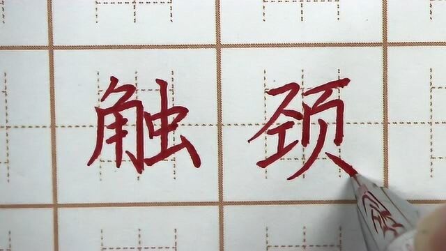 触字怎么写好?触颈其三字书写,小学三年级书法写字硬笔楷书练字