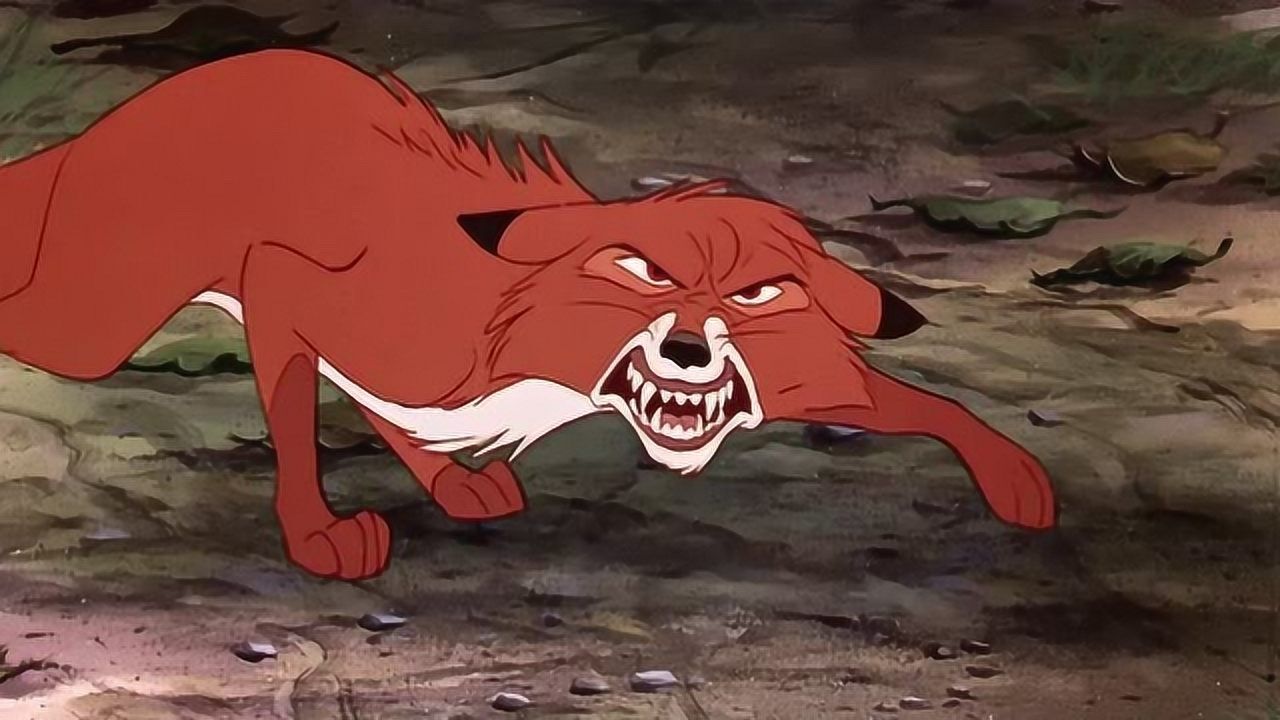 狐狸与猎狗:狐狸与昔日好友打架_腾讯视频