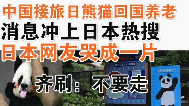 中国要接旅日熊猫回国养老,消息冲上日本热搜!日本网友哭成一片!