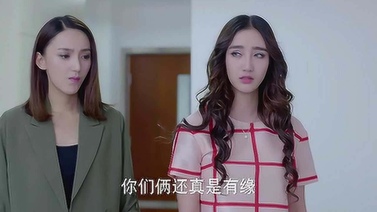 火狼女多次受伤昏迷不醒怎料都和白鲨有关魔鱼当场就怒了