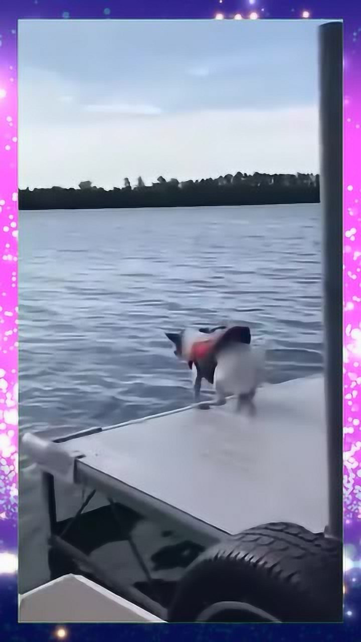 四个脚刹,外加一个屁刹,还是没刹住啊哈哈哈太搞笑了