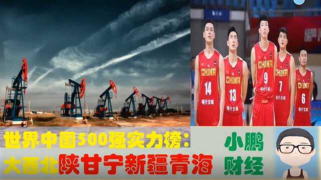 大西北地区的中国乃至世界500强多牛,陕西甘肃新疆宁夏哪家强?