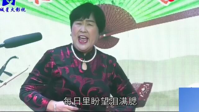 坠子书《为钱》王明兰演唱