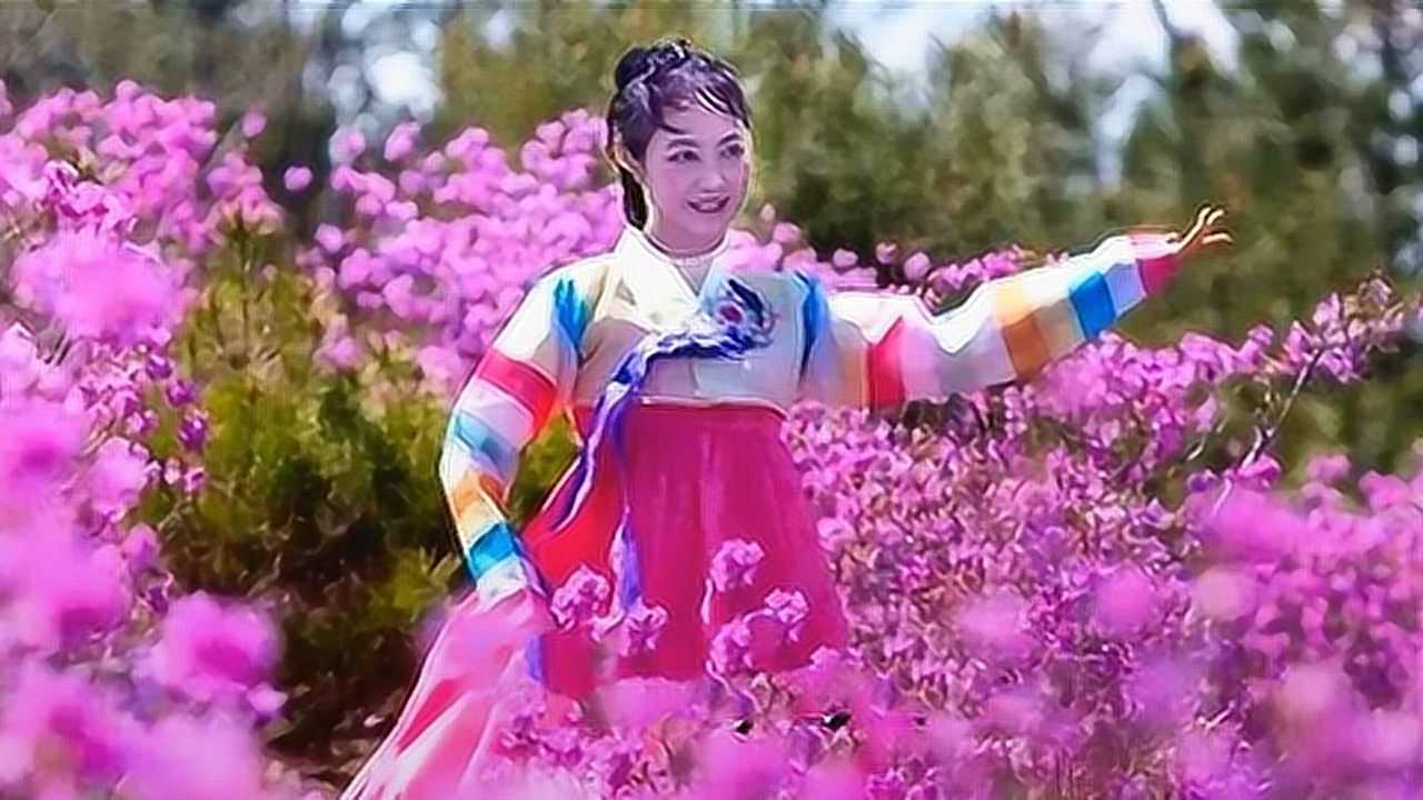 mv金达莱盛开的地方依依演唱