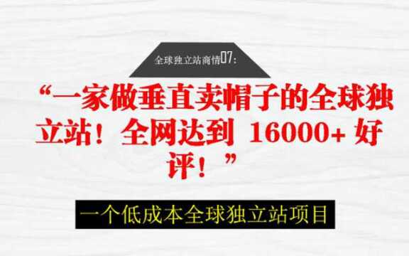 一家做垂直卖帽子的全球独立站!全网达到 16000+ 好评!完整版