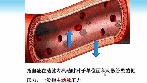 动脉血压的形成机制_腾讯视频