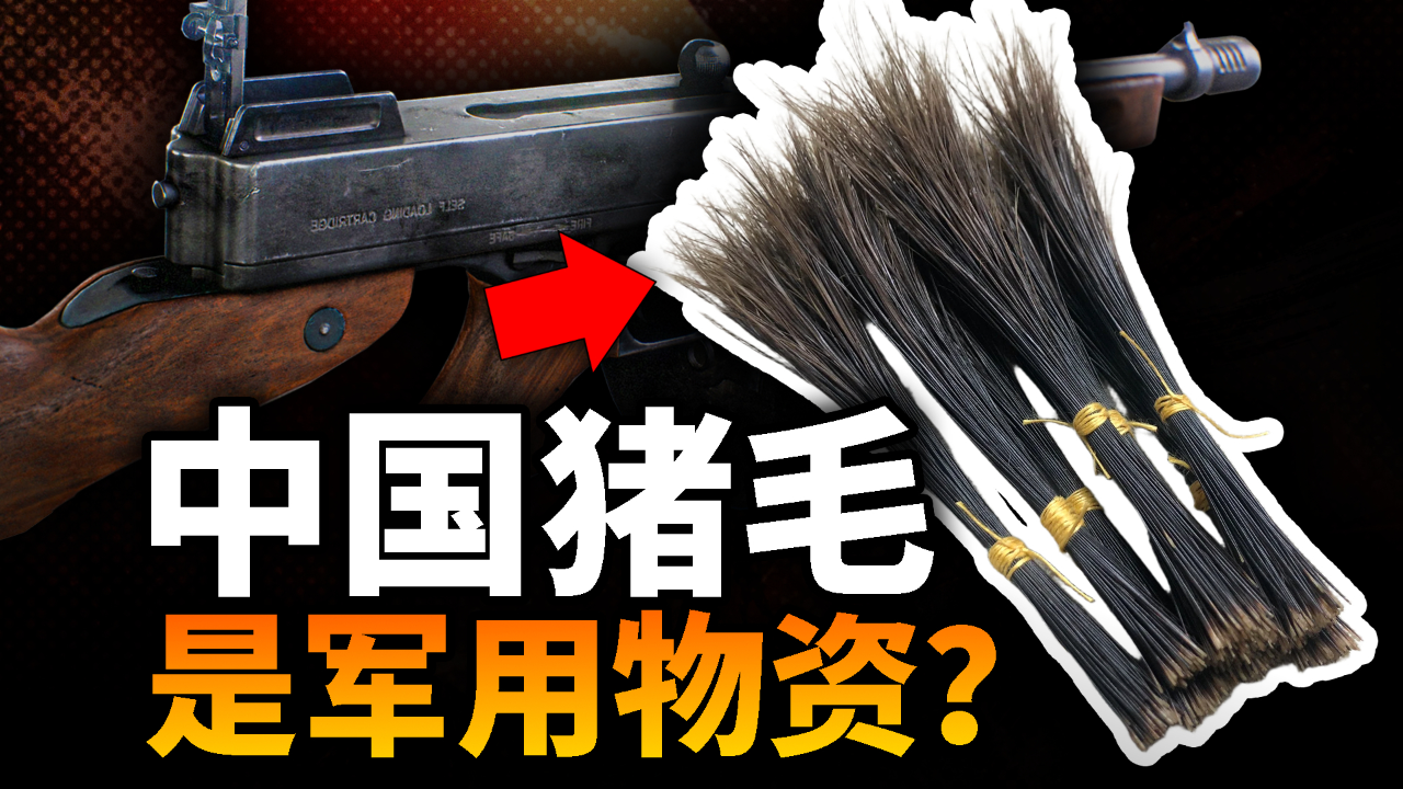 抗战中国猪毛 为何被各国疯抢?猪鬃在军事上究竟有啥用?_腾讯新闻