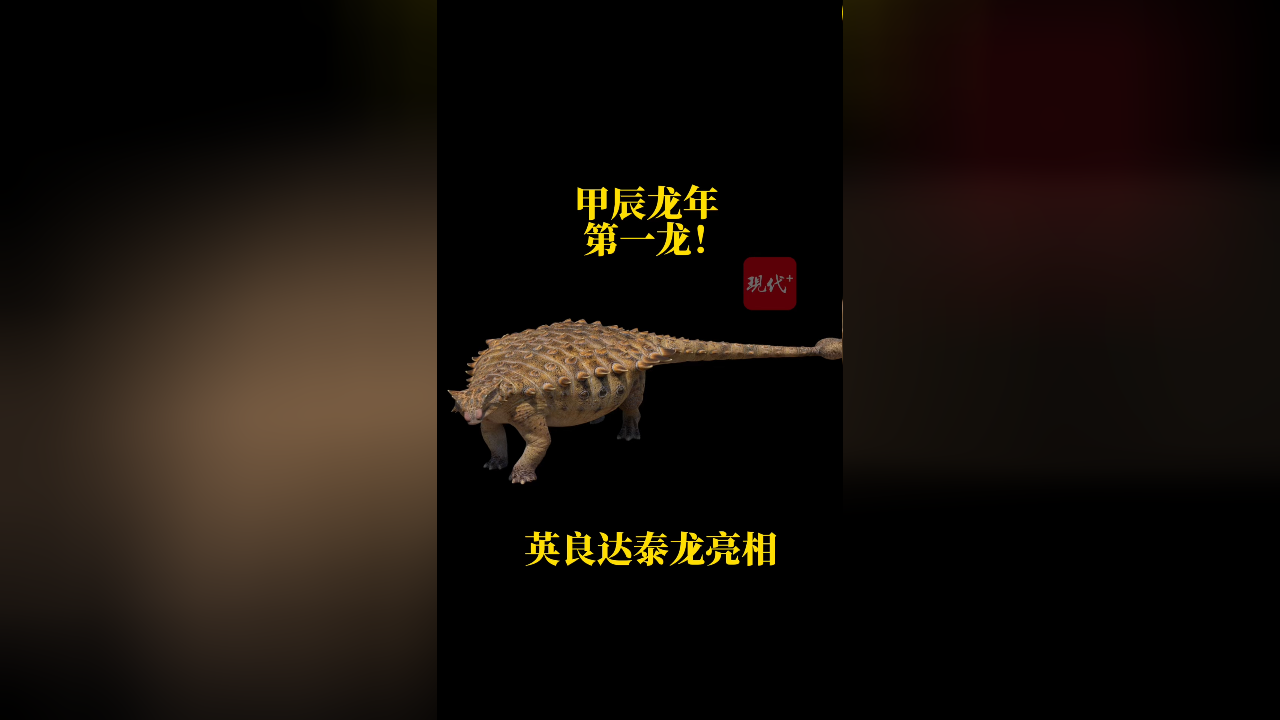 "披甲武士"英良达泰龙亮相