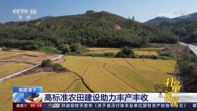 地平整,土肥沃!福建省漳平市高标准农田建设助力丰产丰收