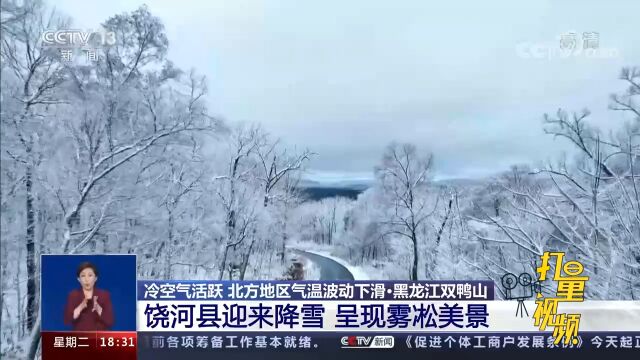 黑龙江双鸭山:饶河县迎来降雪,呈现雾凇美景