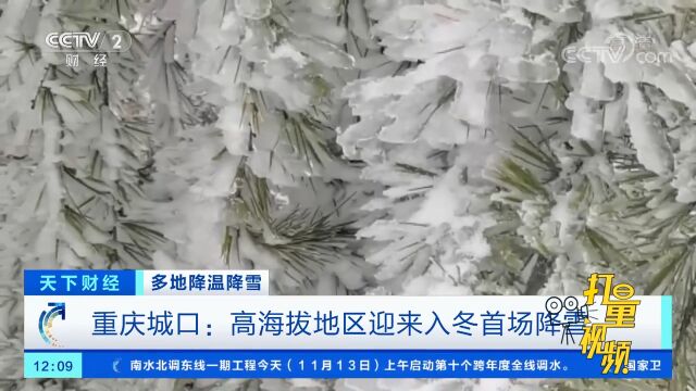 重庆城口:高海拔地区迎来入冬首场降雪