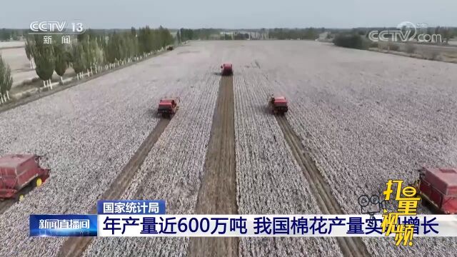 国家统计局:年产量近600万吨,我国棉花产量实现增长