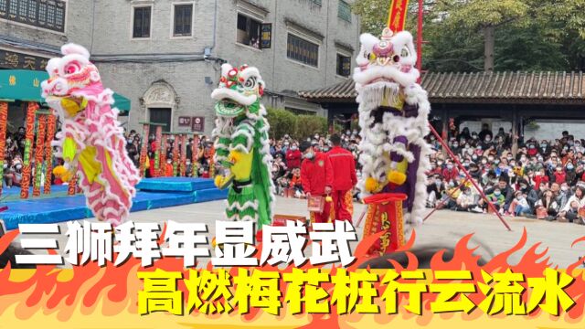 佛山黄飞鸿醒狮表演太精彩!三狮拜年显威武,高燃梅花桩行云流水