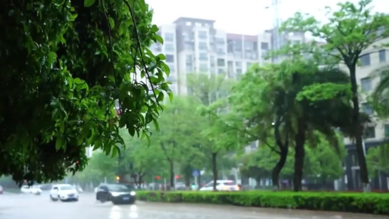 中央气象台寒潮大风暴雪三预警齐发，多地降温最高将达16℃_七环视频_澎湃新闻-The Paper ▶