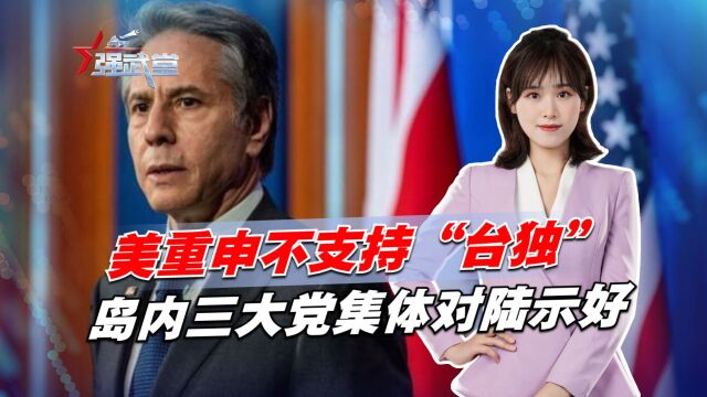 美明确重申不支持“台独”,岛内三大党集体对大陆示好