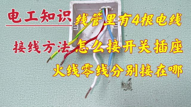 1根线管里有4根线,开关、插座不知道怎么接?不用怕,现场教你