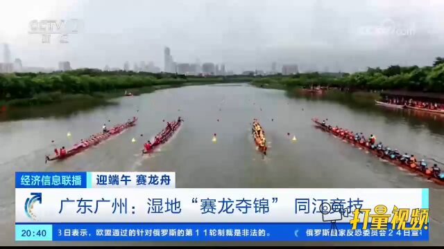 广东广州:湿地“赛龙夺锦”同江竞技,折返赛考验团队配合能力