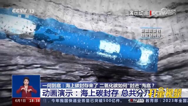 “海上碳封存”总共分几步?一组动画带你直观了解