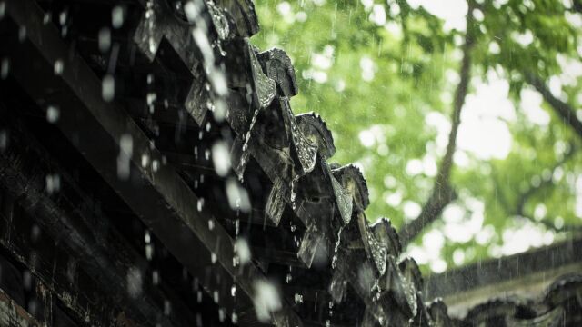 今年梅雨变身“暴力梅”,狂风骤雨齐来,你知道梅雨是如何形成的吗?