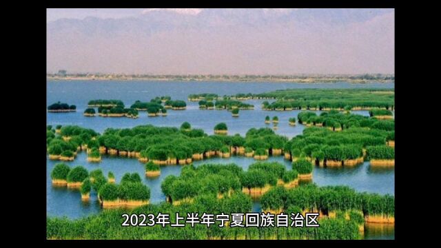 2023年上半年宁夏各地GDP表现,银川表现稳定,固原增速出色