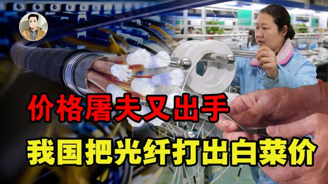 价格屠夫出手了,中国光纤技术获突破,打破欧美封锁卖出白菜价!