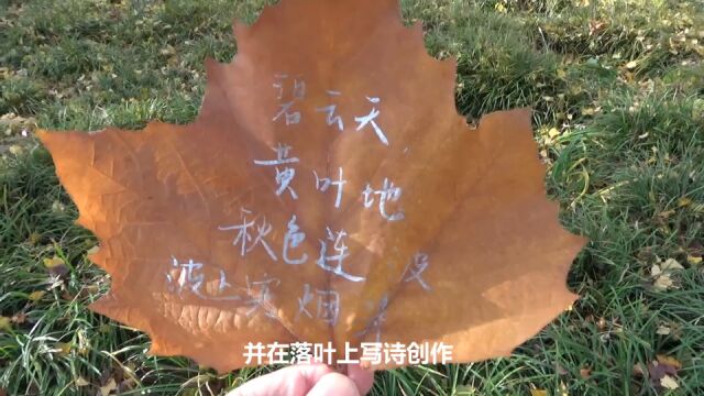 学生用校园落叶做花束,感受大自然美丽减轻学习压力