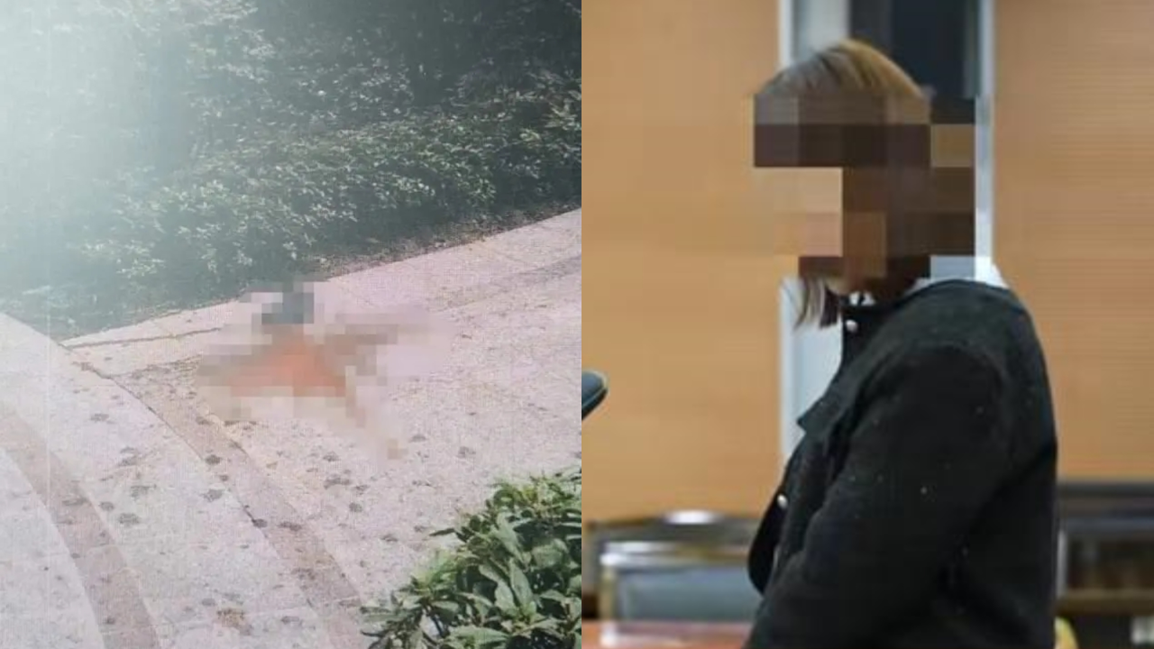 女子嫌厕所太热在房间方便,多次将排泄物从10楼抛下,检方:拘役3个月