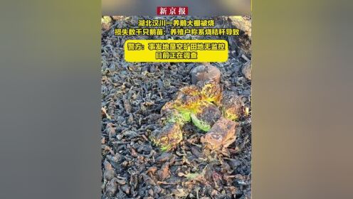 湖北汉川磊哥事件图片