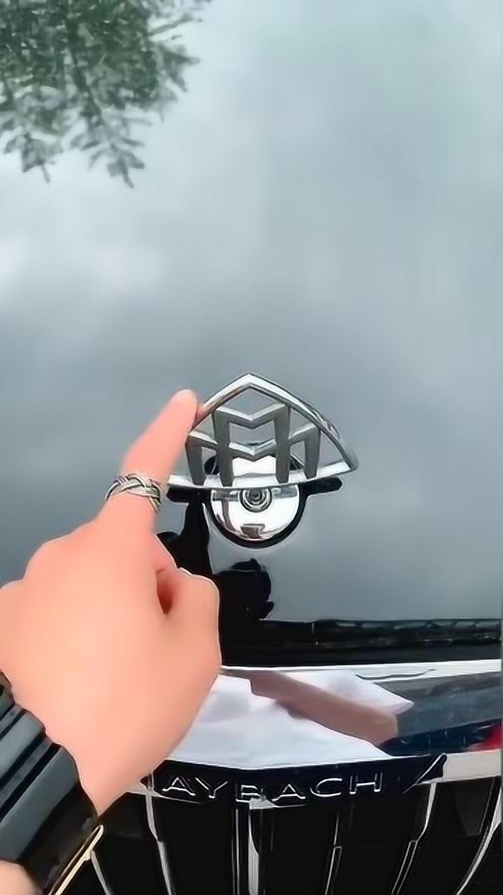 这两个m是什么车看着不像大众啊