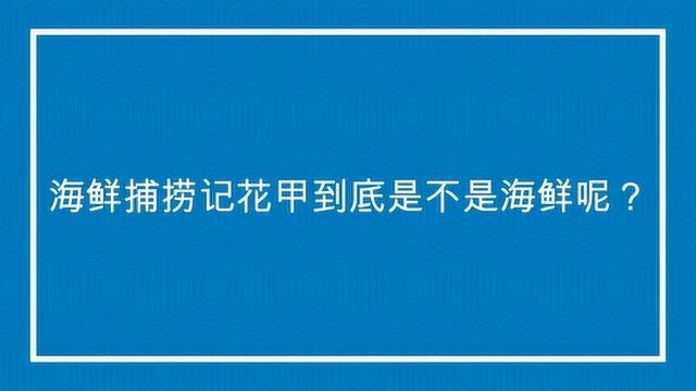 海鲜捕捞记花甲到底是不是海鲜呢?