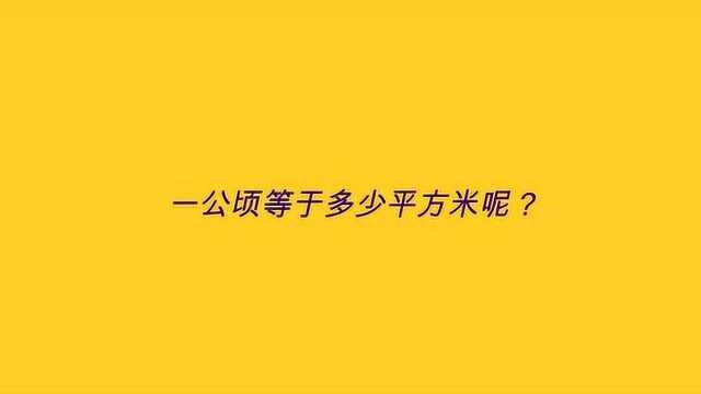 一公顷等于多少平方米呢?