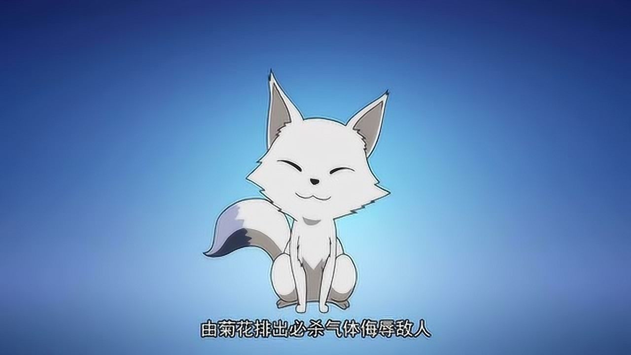 狐妖小红娘狐狸有两种技能一种是放屁一种是变身术