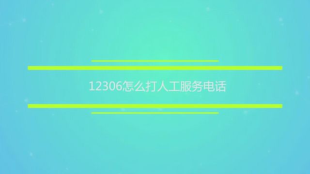 12306怎么打人工服务电话